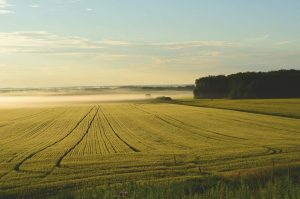 Sustainaculture farming